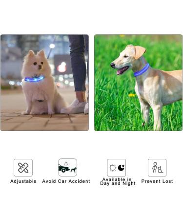 Masbrill Luminous LED Dog Collar - Waterproof & Adjustable Safety Band with 3 Flashing Lights for Small to Large Dogs (Blue XS 25-35cm) - Buy Online on GoSupps.com