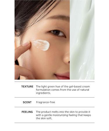 B_LAB Matcha Hydrating Relief Cream 60ml - Moisturizing and Soothing Formula - Buy Online on GoSupps.com