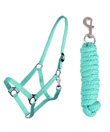 QHP Halter Set Beginner Halter + Lead Rope Heavy Snap Hook (Shetty Turquoise) Shetty Turquoise