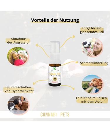 Global Natureon Cannabi Pets Oil 500mg - Natural Salmon Oil Drops for Dogs & Cats | Stress Relief Fear & Travel Aid | 30ml Preservative-Free - Buy Online on GoSupps.com