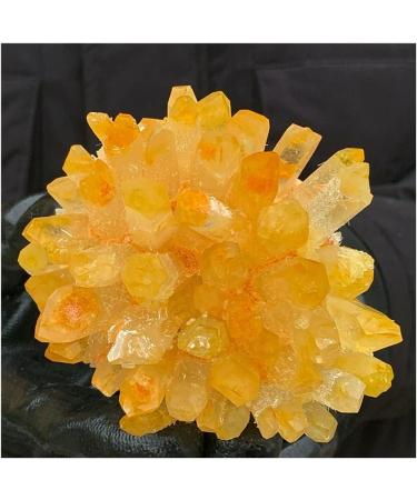 Phantom Quartz Crystal Cluster Specimen (Size : 500-550g) - Buy Online on GoSupps.com