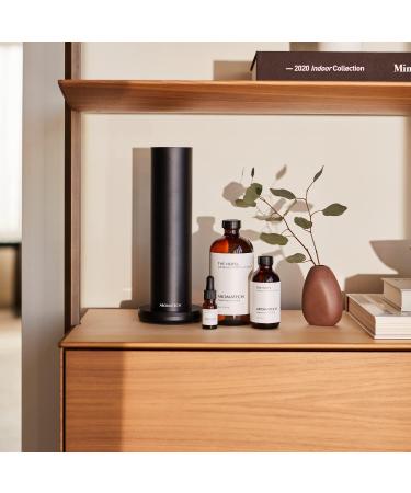 AromaTech The Hotel Aroma Essential Oil Blend: Luxury Hotel Inspired Aromatherapy with Lemon Lavender Peach & Pine for Ultrasonic Diffusers & Nebulizers - 16 fl oz 500 mL The Hotel 16.9 Fl Oz (Pack of 1) - Buy Online on GoSupps.com