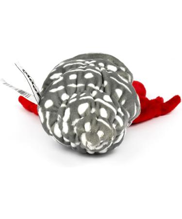 Zappi Co Hermit Crab Plush Toy - Safari Animals Collection (25cm) - Buy Online on GoSupps.com