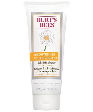 Burt's Bees Brightening Daily Facial Cleanser 170g