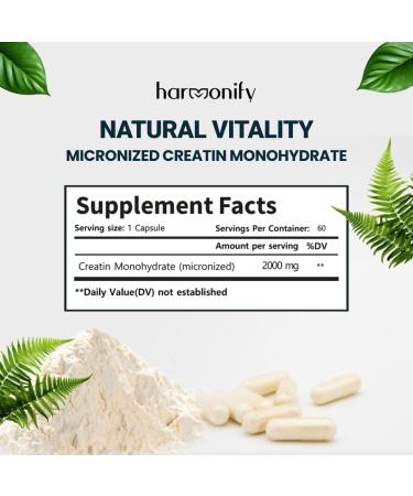 Creatine Monohydrate 2000 mg Powder - Boost Muscle Energy & Cognition | Gluten-Free Keto NSF Certified | 60 Servings - Buy Online on GoSupps.com