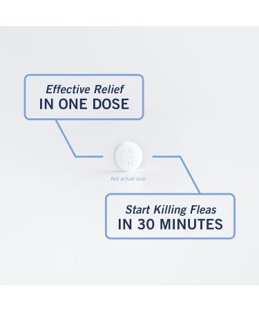 PetArmor Capaction Oral Flea Treatment for Dogs | Fast-Acting 6 Tablets for Dogs Over 25 lbs - Buy Online on GoSupps.com