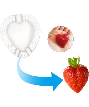 FUNOMOCYA 4pcs Strawberry Mold Small Fragrant Pear Modeling Melon - Buy Online on GoSupps.com