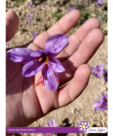 Dream Saffron Premium All-Red Afghan Saffron Threads - 1.0 Gram - Grade A+ Super Nagin Saffron for Cooking, Persian Tea, Paella & Risotto - Buy Online on GoSupps.com