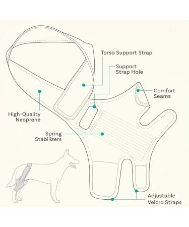 QYJLOFMVE Dog Knee Brace Support for Large and Small Dogs Suffering from ACL CCL Cruciate Ligament Injuries Luxating Patella or Osteoarthritis for Rear Legs and - Buy Online on GoSupps.com