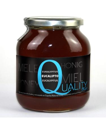 100% Pure Bee Honey. Raw Honey. 1 Kg. Produced in Spain. Unpasteurized and unheated. High quality artisan. Jar