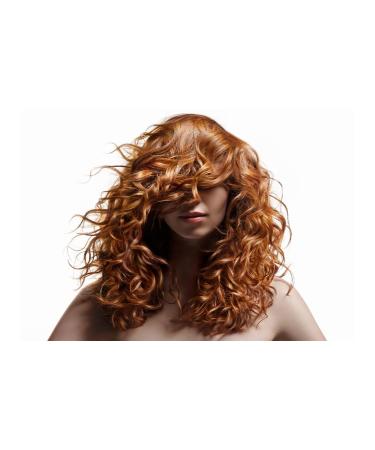 Leonor Greyl Paris Frizz Control & Styling Serum - Light Conditioning Serum for Dry & Fine Hair (2.5 Oz) - International Shipping - Buy Online on GoSupps.com