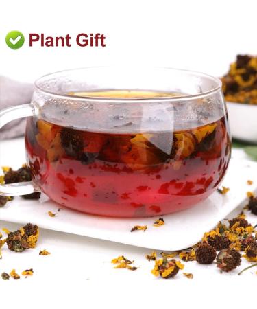 PlantGift Natural Kunlun Snow Daisy Tea 40G/1.41oz High Mountain XueJu Snow Chrysanthemum Flowers Herbal Tea - Buy Online on GoSupps.com
