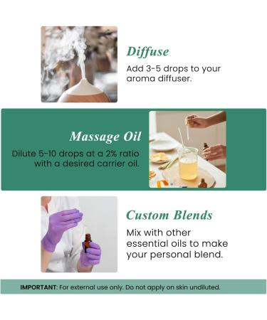 Handcraft Blends Forest Air Set: Eucalyptus and Cedarwood Essential Oils (2 x 4 Fl Oz) 100% Pure & Natural for Diffuser Aromatherapy and DIY Projects - Buy Online on GoSupps.com