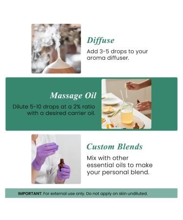 Handcraft Blends Soothing Relief Set: Sweet Almond Oil (16 Fl Oz) and Eucalyptus Essential Oil (4 Fl Oz) 100% Pure & Natural for Muscle Massage and Body Care - Buy Online on GoSupps.com