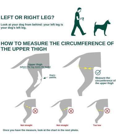 Ortocanis Knee Brace for Dogs | Size XXL Left Leg | Ligament Rupture & Patella Luxation - Buy Online on GoSupps.com