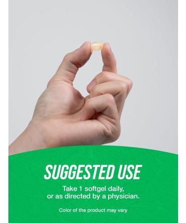 BulkSupplements.com Wheat Germ Oil Softgels - Wheat Germ Oil Supplement Wheat Germ Oil 1130mg - Nutritional Supplement & Soy Free 1 Softgel per Serving 240 Softgels (Pack of 1) - Buy Online on GoSupps.com