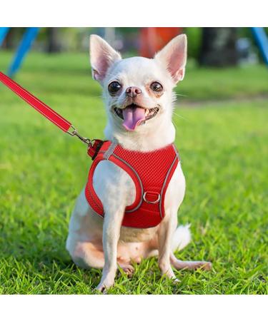 Joyal Dog Harness - Reflective Soft Padded Air-Mesh Harness for XS Puppies & Small Dogs (34-38cm) - Red - Buy Online on GoSupps.com