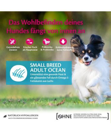 Wellness Core Small Breed Adult Ocean Dog Food - Grain-Free High Meat Content Salmon & Tuna 5 kg - Buy Online on GoSupps.com