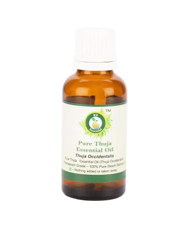 R V Essential Pure Thuja Essential Oil 5ml (0.169oz)- Thuja Occidentalis (100% Pure and Natural Steam Distilled) 5 ml (Pack of 1) - Buy Online on GoSupps.com