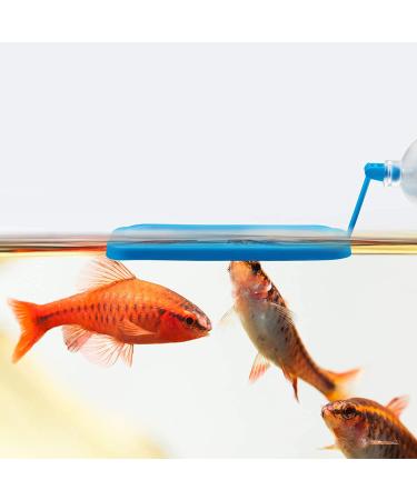 Aquarium Feeding Set: Fish Feeding Ring, Food Feeder, Spawning Bed, Betta Leaf Pad - 4 Pieces - Buy Online on GoSupps.com