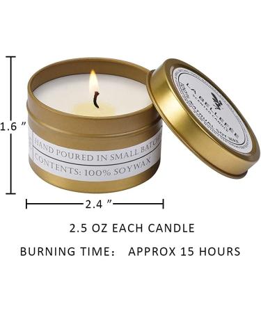 Scented Candles Gift Set for Mom | Seasalt & Sage, Lavender & Vanilla, Lemongrass & Bergamot | Mediterranean Amber Candle in Decorative Travel Tin - Buy Online on GoSupps.com