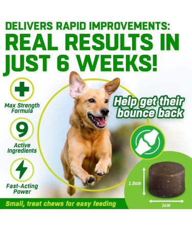 Dog Joint Care Supplements | 150 Chews with Green Lipped Mussel, Glucosamine & Chondroitin | Hemp Oil, MSM, Hyaluronic Acid, Manganese & Vitamins | Aids Stiff Joints | 1 Pot (150 Chews) - Buy Online on GoSupps.com