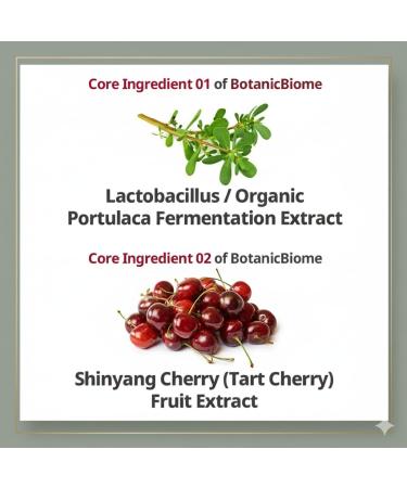 OHAVE Sunscreen SPF 50+ PA++++ Broad Spectrum Sunblock | Lightweight Non-Greasy & Water-Resistant | Moisturizing UV Protection for Face & Body | UVA/UVB Defense | For Sensitive & All Skin Types 1.69 Fl Oz (Pack of 1) - Buy Online on GoSupps.com