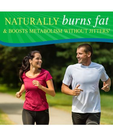 Fucoxanthin Weight Loss Capsules with Green Coffee Bean Extract - 90 Count - Buy Online on GoSupps.com