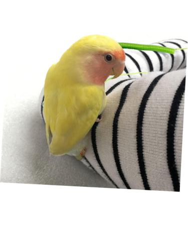 Angoily 3 pcs 15 Leash Trainning Color for Flying Activities Random Elastic Harness Parrot Meters Size 5x3pcs As Shownx3pcs - Buy Online on GoSupps.com