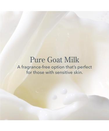 Beekman 1802 Lip Balm - Goat Milk Vitamin E & Beeswax for Dry Lips - 0.15 oz - Cruelty Free Unscented Ideal for Sensitive Skin - Buy Online on GoSupps.com