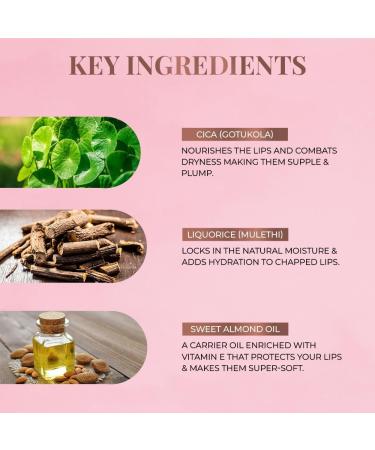 Jus t Herb.s Ayurvedic Liquid Lipstick Kit - Set of 5 Long Lasting Hydrating & Lightweight Paraben & Silicon Free Shades (Brights & Pinks) - International Shipping Available - Buy Online on GoSupps.com