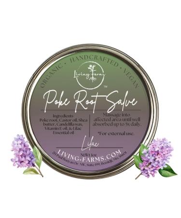Organic Poke Root Castor Oil Salve | Vegan Lymphatic Support | Enriched with Essential Oils | Cysts Boils Fibroids Swollen Lymph Nodes Breast & Joint (1oz Lilac) 1 Ounce (Pack of 1) Lilac