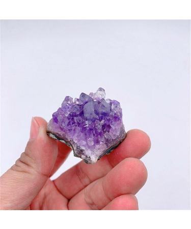 1/5/10PC 1PC/10-20g Natural Purple Brazilian Amethyst Quartz Crystal Cluster Geode Stones Specimen Home Decor Crafts Ornament (Color : 10Pc) - Buy Online on GoSupps.com
