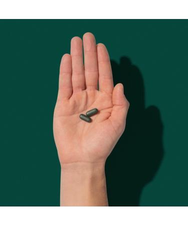 Roman Men's Daily Multivitamin | Supports Physical & Brain Health | 23 Key Nutrients with Calcium, Magnesium & Zinc | 30-Day Supply | 60 Tablets - Buy Online on GoSupps.com