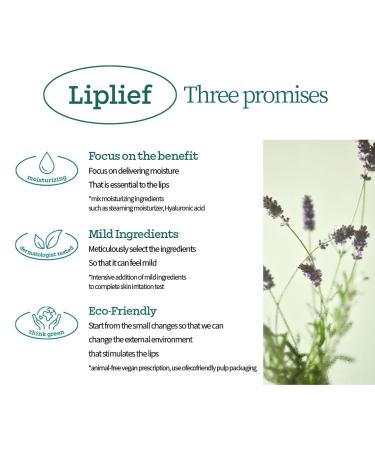 HOLIKA HOLIKA Liplief Glowy Lip Oil 0.15 oz - Hydrating Glossy Finish | Buy Internationally - Buy Online on GoSupps.com