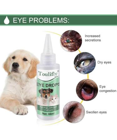 Gimcat Shinycat Jelly Cat Food Bundle - 24 Cans Tuna with Shrimp & Chicken - Wet Food Rich in Taurine for Cats - International Shipping Available - Buy Online on GoSupps.com