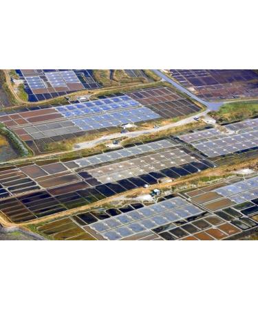 Sel De Guerande Celtic Sea Salt Fine Shaker 250g Pack of 2 - Buy Online on GoSupps.com