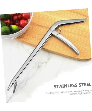 SUPVOX 1pc Fish Control Decoupling Device EEL Fish Hook Detacher Fishing Disgorger Tool Bracket Portable - Buy Online on GoSupps.com