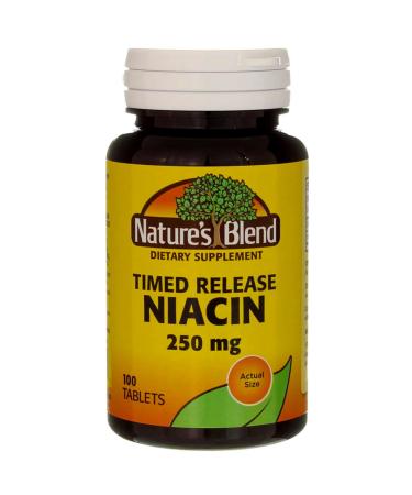 NatureShip's Blend Niacin Timed Release 250 mg Tabs 100 Count (Pack of 1) - Buy Online on GoSupps.com