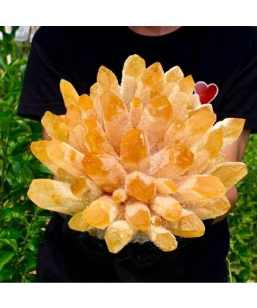 Natural Yellow Phantom Quartz Crystal Cluster Specimen Crystal Cluster (Size : 500-550g) - Buy Online on GoSupps.com