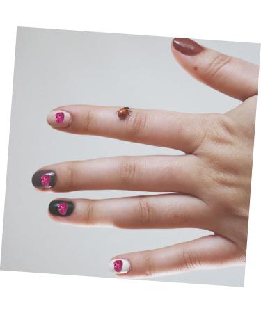 BIUDECO 1 Glass Chip Manicure DIY Accessories Nail Art Rhinestones Nail Art Stone Shiny Nail Stickers DIY Glass Fillers Manicure Charms Irregular Glass Epoxy Fillers Nail 0.5X0.3cm Rosy - Buy Online on GoSupps.com