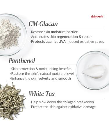 Skincode Essentials Regenerating Night Cream 50ml - Anti-Aging Moisturizer for Radiant Skin | Buy Internationally - Buy Online on GoSupps.com