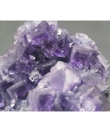 26g Rare Transparent Purple Cube Fluorite Crystal Specimen/China ningxiao - Buy Online on GoSupps.com