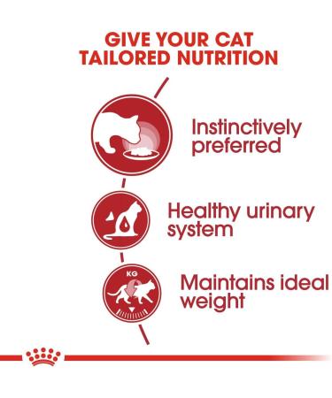 Royal Canin Kitten in Loaf 85g (Pack of 12) - Buy Online on GoSupps.com