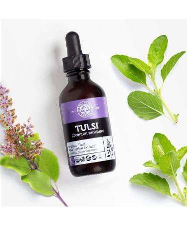 Organic Tulsi (Holy Basil) Liquid Supplement - 2 fl oz Vegan Drops for Stress Response & Energy Support - Buy Online on GoSupps.com