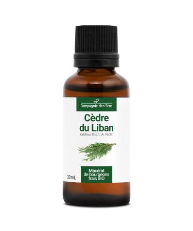 LEBANON CEDAR - 30mL - Organic bud macerate
