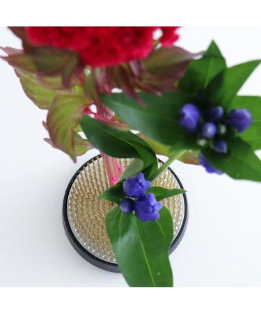 Wazakura Ikebana Kenzan Japanese Flower Holder - Made in Japan, Round 2.4 Brass Pin Frog for Floral Arranging - Buy Online on GoSupps.com