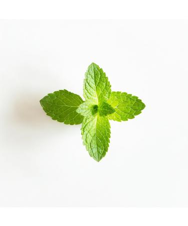 Essential Oxygen BR On-Demand Tooth Polish Peppermint White 2 Ounce Pack of 2 - Buy Online on GoSupps.com