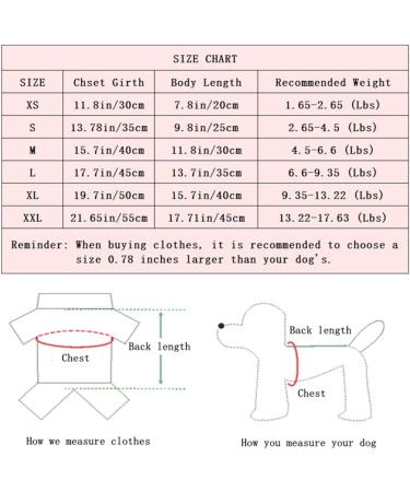 Pink Striped Mesh Dog Princess Dress - Fashionable Pet Clothes for Small Dogs - Buy Online on GoSupps.com