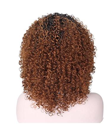 Curly Hair Wigs for Black Women | Natural Kinky Curly Afro Lace Front Wigs | Short Fluffy Wavy Human & Synthetic Options - Buy Online on GoSupps.com